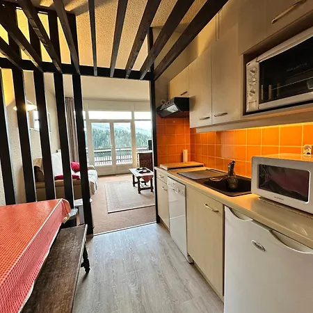 Avec Terrasse Sud Et Parking A Villard-de-lans, Proche Pistes Et Randonnees - Fr-1-515-106 Apartamento Villard-de-Lans