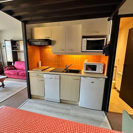 Au Pied Des Pistes A De Lans, Terrasse Sud, Parking Gratuit Villard-de-Lans